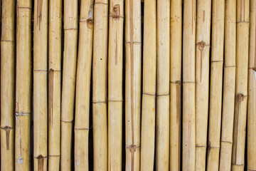 A bamboo wall texture using for a background.