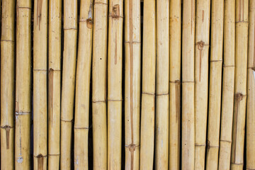 A bamboo wall texture using for a background.