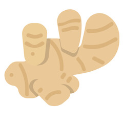 ginger flat icon