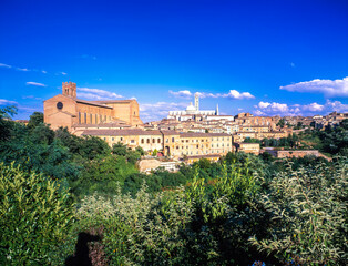 Fototapeta premium ドゥオモと町並