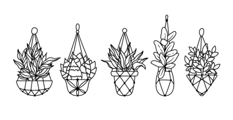 succulent, ficus hanging plants, potted boho houseplants isolated clipart bundle, black and white floral decorative elements, outline home plants botanical items, cute flower in pot - vector © Maria Zamchiy 