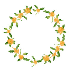 金木犀 キンモクセイ 花　フレーム　水彩 イラスト