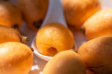Loquats on the plate under the sun