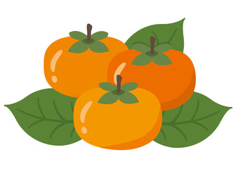 フルーツイラスト★柿