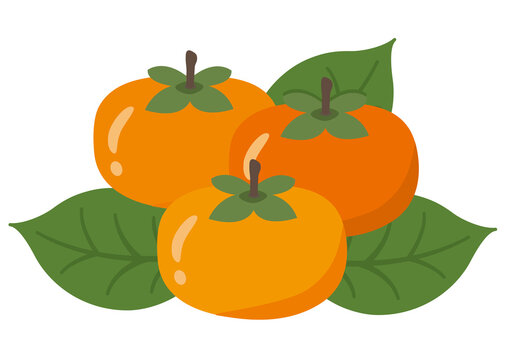 668 Best 富有柿 Images Stock Photos Vectors Adobe Stock