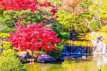 Obraz premium 庭園の池を彩る紅葉。万博記念公園
