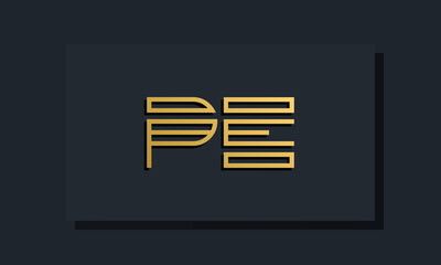 Elegant line art initial letter PE logo.