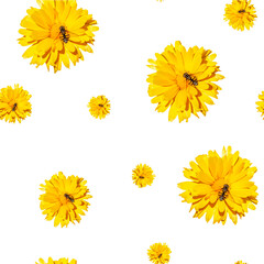 Yellow chrysanthemum bright flowers with cute bee on it seamless pattern