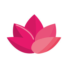 Fototapeta premium flower lotus decoration