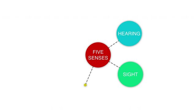 Five Human Senses Animation Diagram on White Background and Green Screen