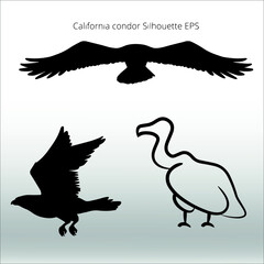 set of California Condor Silhouettes, line isolated or logo isolated sign symbol vector, outline and stroke style Collection of high-quality vector illustration,