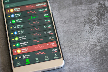 dStart trading on Stock Market. Online chart of Bitcoin. Business man deal Investment. Stock Traders concept. Close up laptop screen, 