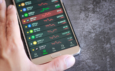 dStart trading on Stock Market. Online chart of Bitcoin. Business man deal Investment. Stock Traders concept. Close up laptop screen, 