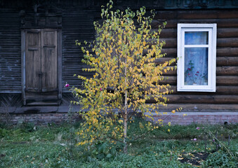 old wooden house