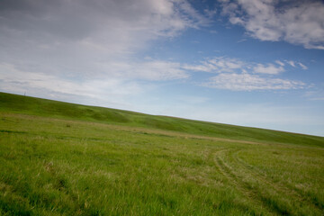 field and blue sky