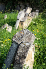 Austria, Burgenland, Eisenstadt, View of jewish grave yard