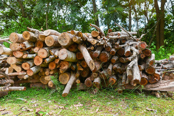 A pile of stacked firewood, prepared for heating the house, Firewood harvested for heating in winter, Chopped firewood on a stack, Firewood stacked and prepared for winter Pile of wood logs.