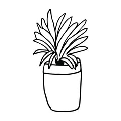 Houseplant in the pot in doodle style. Hand drawn potted plant for home. Hand drawn simple black outline vector illustration in cartoon doodle style, isolated. Home gardening