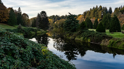 Calm creek in Bothell, WA. 