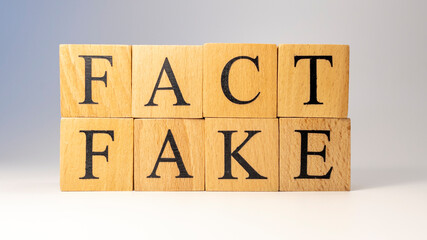 The word Fact or Fake was created from wooden cubes. Close-up.