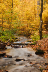 Stream at Karlstal surrounded by trees with yellow and orange leaves on a fall day in Germany.