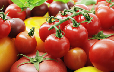 Composition of fresh ripe tomatoes of different varieties and spices as a background close-up