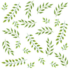 Watercolor green leaves tropical floral pattern on white background