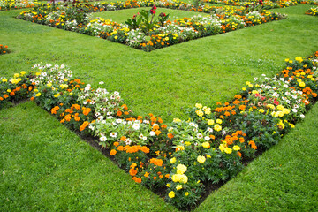 Colorful garden in geometrical arrangement