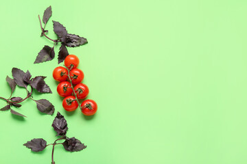 Fresh basil and tomatoes on color background