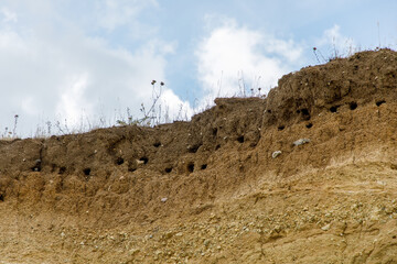 Dried out clay on the coastline