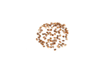 Hemp seeds isolated on white background.