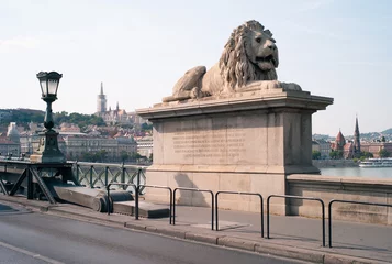 Photo sur Plexiglas Széchenyi lánchíd Sitting Lion Statue at the Chain Bridge or széchenyi lánchíd across the River Danube in Budapest, Hungary