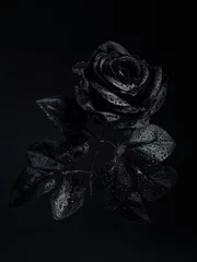 Selbstklebende Fototapeten Black rose with drops of water on a black background. Creative romantic love and passion concept. dark and spooky cult aesthetic. Floral Halloween or Santa Muerte idea. © Aleksandar