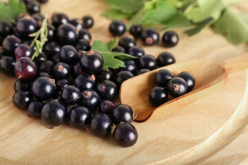 Scoop with ripe black currant on wooden background, closeup