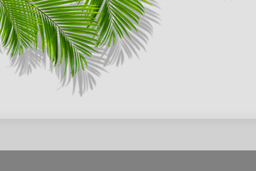 Empty space studio room of gray gradient background with green palm leaves and shadow on wall.