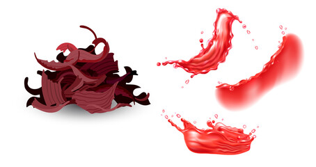 Set of dry hibiscus tea and red liquid splashes. Vector realistic design elements.