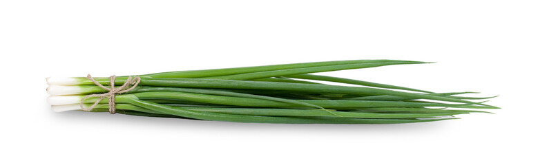 Bunch of fresh green onion isolated on white background.