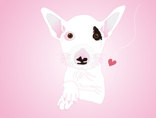 ハートとアメリカン・スタッフォードシャー・テリアのいる風景