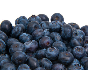 Perfect blueberry isolated on the white background