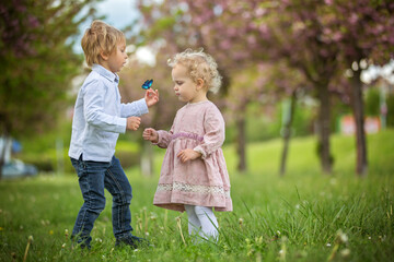Fototapeta premium Beautiful children, toddler boy and girl, playing together in cherry blossom garden,boy giving a little bouquet of wild flowers to the girl. Kids friendship