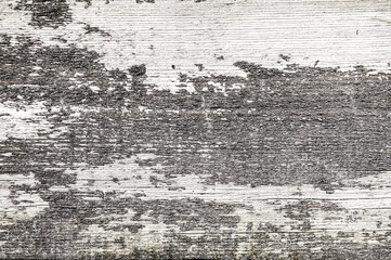 Light wooden texture background. Rustic background