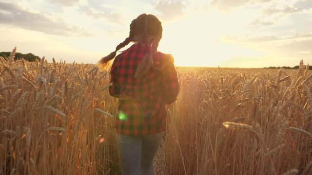 little girl runs through wheat field at sunset. View of girl from back. Freedom of happy child. Childhood dream of child running across field. concept of happiness dream, freedom of children.