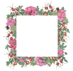 Square frame with flowers and rose hips, leaves and bumblebees. Hand-drawn graphic botanical border. Plant illustrations for design, cards, invitations.