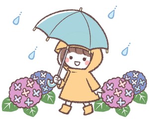 複数のアジサイと雨とカサと女の子