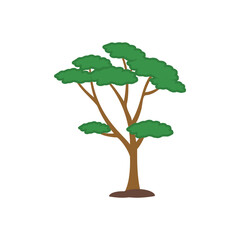 Tall tree icon design template illustration
