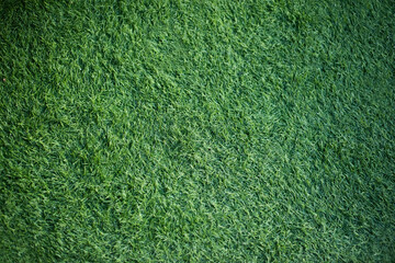 green artificial grass full background