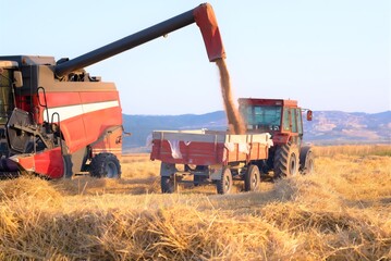 combine harvester working on a field