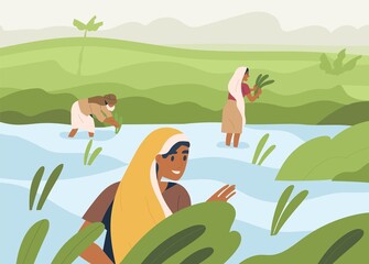 Obraz na płótnie Canvas Indian farmers working on rice field, standing in water. Farm workers work on farmland in Asia. Happy people on Asian paddy plantation. Traditional agriculture in India. Flat vector illustration