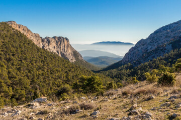 Sierra Espuña Natural Park. Sierra Espuña is a mountainous massif with a dense forest mainly of...