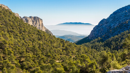 Sierra Espuña Natural Park. Sierra Espuña is a mountainous massif with a dense forest mainly of...